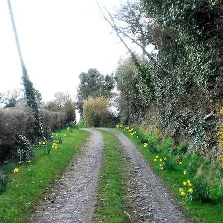 Cowslip * Dublin